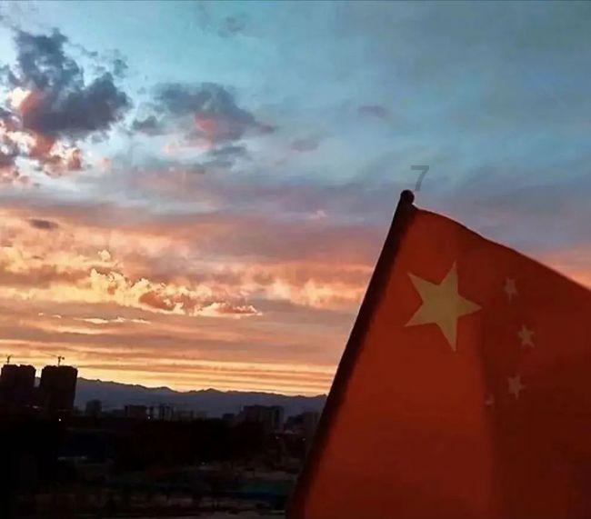 拯救枯树